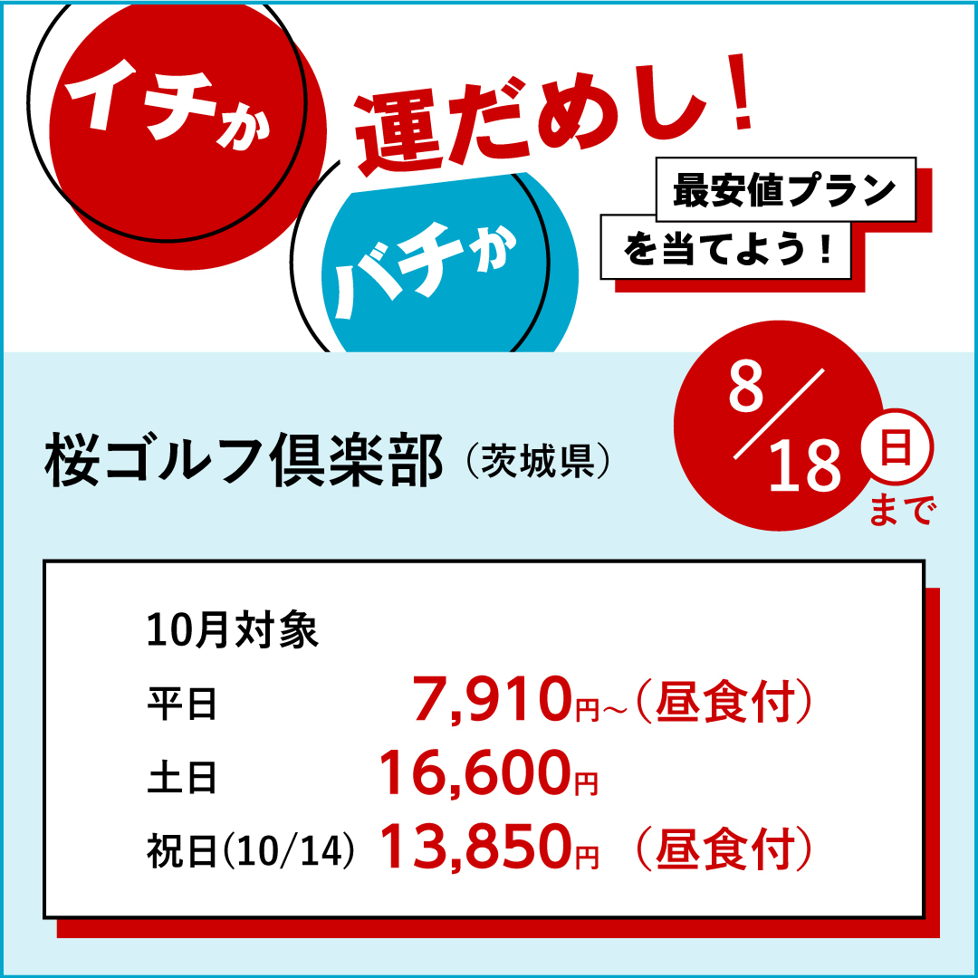 イチかバチか運試し「最安値プラン」を当てよう！